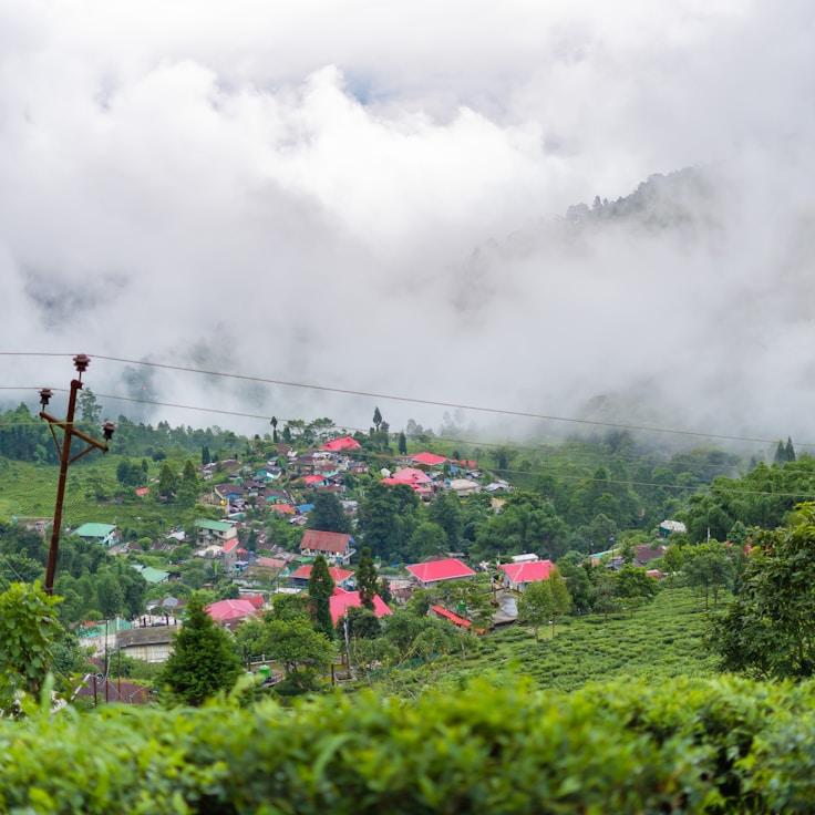 Outdoor terrace seating suitable for families in Brookline